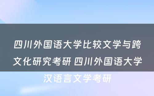 四川外国语大学比较文学与跨文化研究考研 四川外国语大学汉语言文学考研