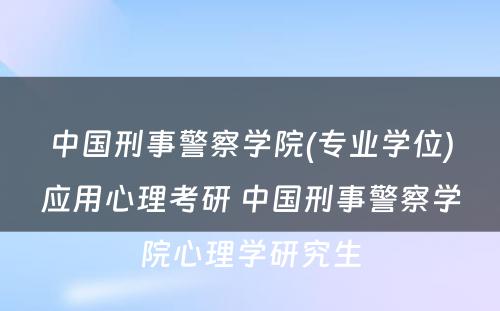 中国刑事警察学院(专业学位)应用心理考研 中国刑事警察学院心理学研究生