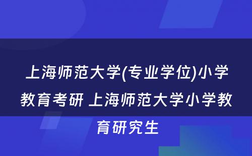 上海师范大学(专业学位)小学教育考研 上海师范大学小学教育研究生