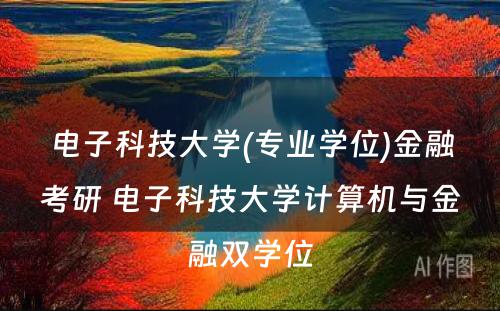 电子科技大学(专业学位)金融考研 电子科技大学计算机与金融双学位