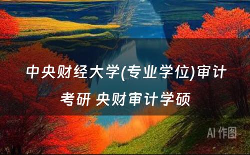 中央财经大学(专业学位)审计考研 央财审计学硕