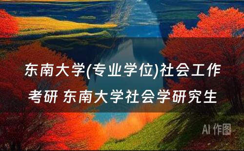 东南大学(专业学位)社会工作考研 东南大学社会学研究生