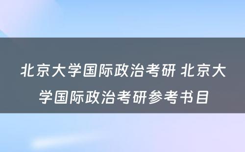 北京大学国际政治考研 北京大学国际政治考研参考书目