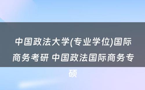 中国政法大学(专业学位)国际商务考研 中国政法国际商务专硕