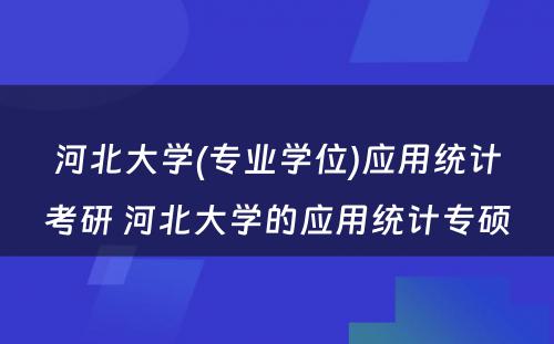 河北大学(专业学位)应用统计考研 河北大学的应用统计专硕