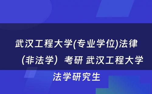 武汉工程大学(专业学位)法律（非法学）考研 武汉工程大学法学研究生