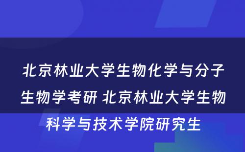 北京林业大学生物化学与分子生物学考研 北京林业大学生物科学与技术学院研究生