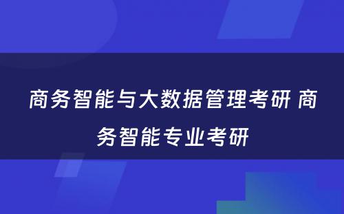 商务智能与大数据管理考研 商务智能专业考研