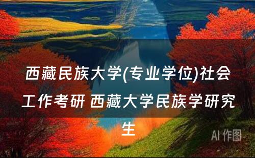 西藏民族大学(专业学位)社会工作考研 西藏大学民族学研究生