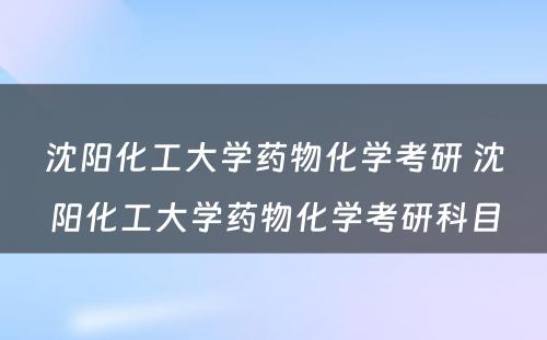 沈阳化工大学药物化学考研 沈阳化工大学药物化学考研科目