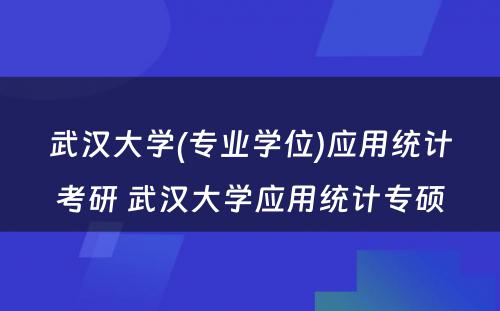 武汉大学(专业学位)应用统计考研 武汉大学应用统计专硕