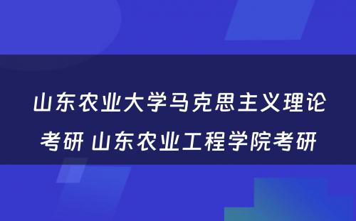 山东农业大学马克思主义理论考研 山东农业工程学院考研