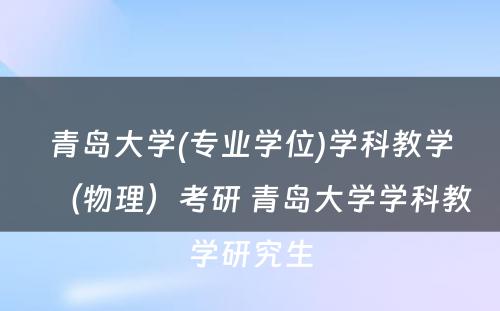 青岛大学(专业学位)学科教学（物理）考研 青岛大学学科教学研究生