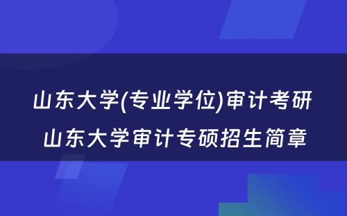 山东大学(专业学位)审计考研 山东大学审计专硕招生简章