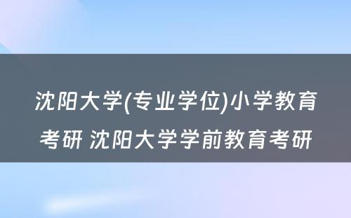 沈阳大学(专业学位)小学教育考研 沈阳大学学前教育考研