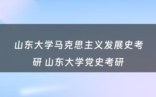 山东大学马克思主义发展史考研 山东大学党史考研