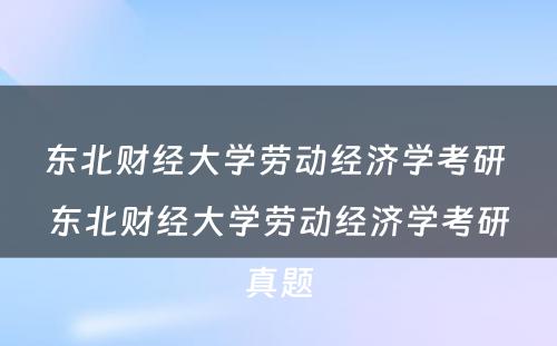 东北财经大学劳动经济学考研 东北财经大学劳动经济学考研真题