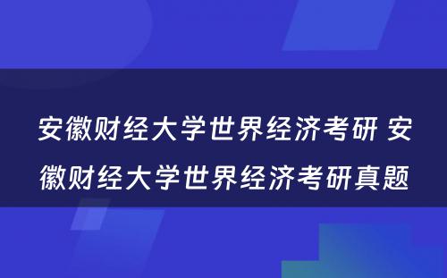 安徽财经大学世界经济考研 安徽财经大学世界经济考研真题