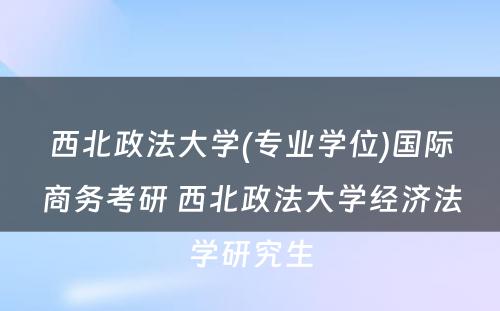 西北政法大学(专业学位)国际商务考研 西北政法大学经济法学研究生