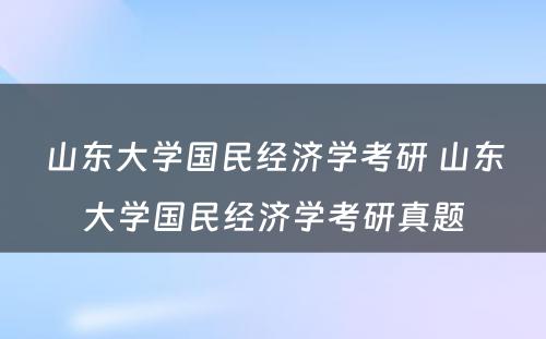 山东大学国民经济学考研 山东大学国民经济学考研真题