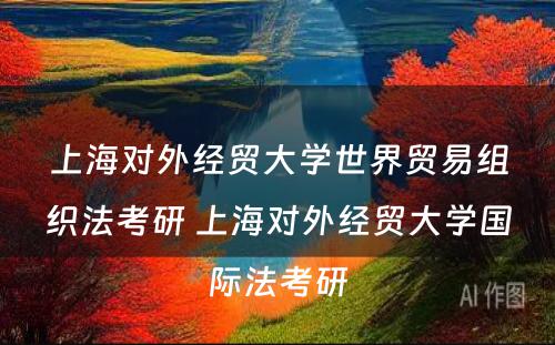 上海对外经贸大学世界贸易组织法考研 上海对外经贸大学国际法考研