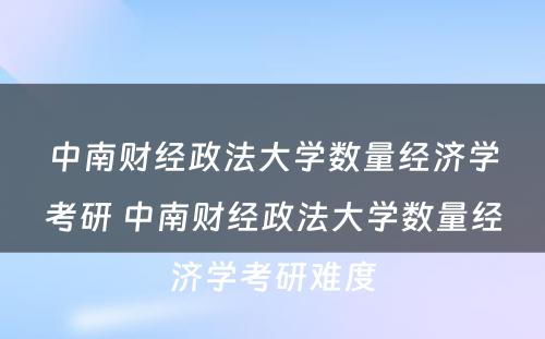 中南财经政法大学数量经济学考研 中南财经政法大学数量经济学考研难度