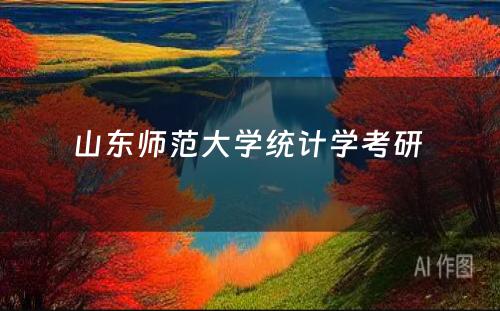 山东师范大学统计学考研 