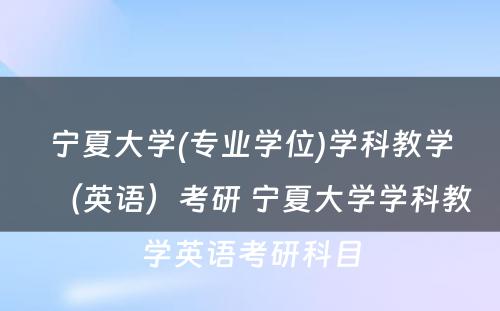 宁夏大学(专业学位)学科教学（英语）考研 宁夏大学学科教学英语考研科目