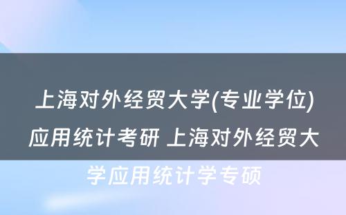 上海对外经贸大学(专业学位)应用统计考研 上海对外经贸大学应用统计学专硕