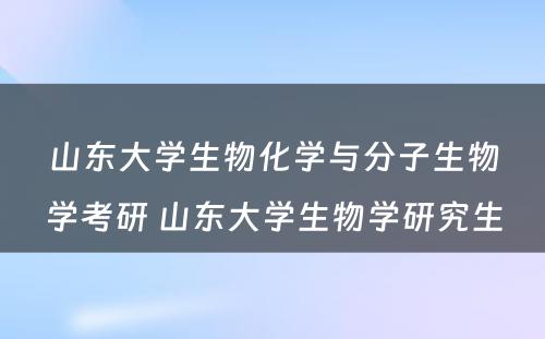 山东大学生物化学与分子生物学考研 山东大学生物学研究生