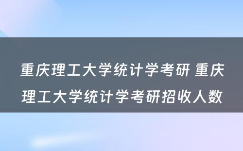 重庆理工大学统计学考研 重庆理工大学统计学考研招收人数