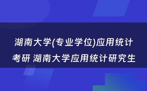 湖南大学(专业学位)应用统计考研 湖南大学应用统计研究生