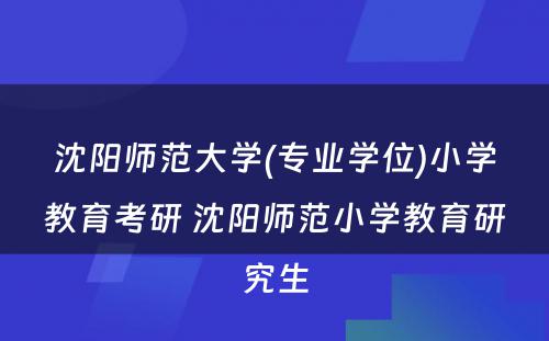 沈阳师范大学(专业学位)小学教育考研 沈阳师范小学教育研究生