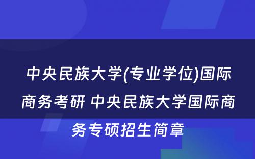 中央民族大学(专业学位)国际商务考研 中央民族大学国际商务专硕招生简章