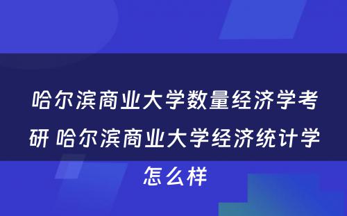 哈尔滨商业大学数量经济学考研 哈尔滨商业大学经济统计学怎么样