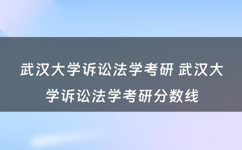 武汉大学诉讼法学考研 武汉大学诉讼法学考研分数线