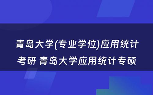 青岛大学(专业学位)应用统计考研 青岛大学应用统计专硕