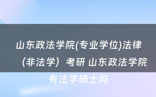 山东政法学院(专业学位)法律（非法学）考研 山东政法学院有法学硕士吗