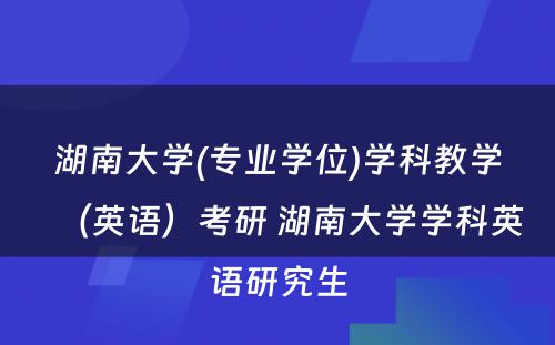 湖南大学(专业学位)学科教学（英语）考研 湖南大学学科英语研究生