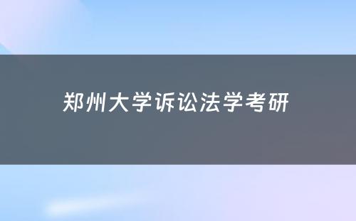 郑州大学诉讼法学考研 