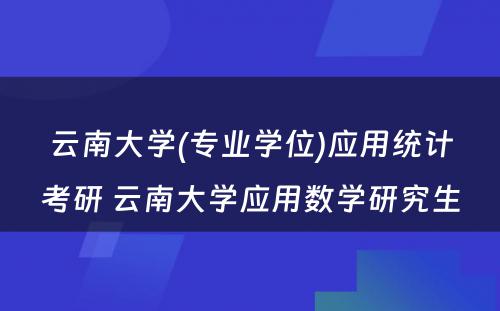 云南大学(专业学位)应用统计考研 云南大学应用数学研究生