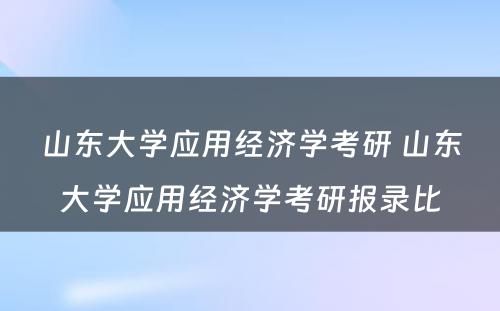 山东大学应用经济学考研 山东大学应用经济学考研报录比