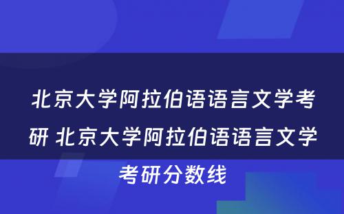 北京大学阿拉伯语语言文学考研 北京大学阿拉伯语语言文学考研分数线