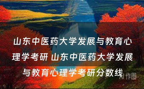 山东中医药大学发展与教育心理学考研 山东中医药大学发展与教育心理学考研分数线