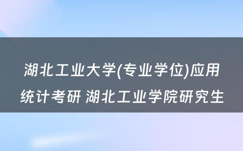 湖北工业大学(专业学位)应用统计考研 湖北工业学院研究生