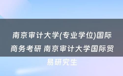 南京审计大学(专业学位)国际商务考研 南京审计大学国际贸易研究生