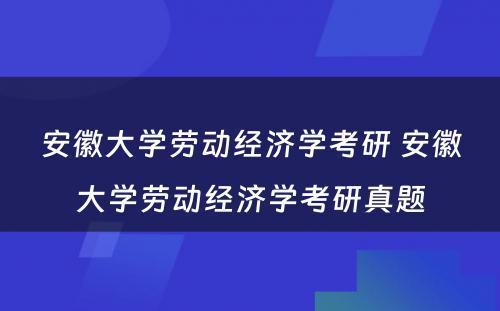 安徽大学劳动经济学考研 安徽大学劳动经济学考研真题