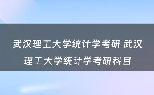 武汉理工大学统计学考研 武汉理工大学统计学考研科目