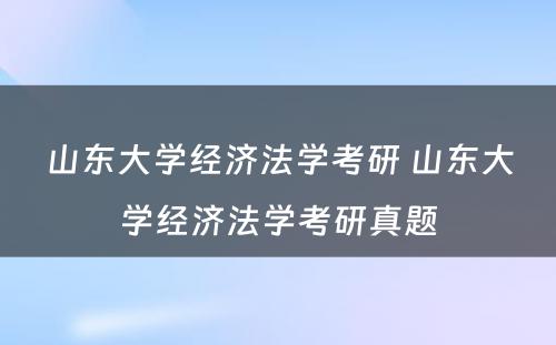 山东大学经济法学考研 山东大学经济法学考研真题