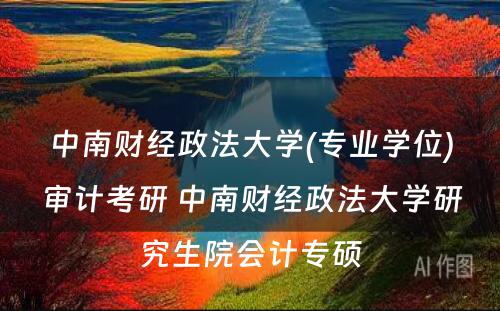 中南财经政法大学(专业学位)审计考研 中南财经政法大学研究生院会计专硕